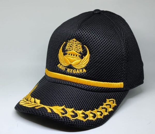 a70eecf5e4fa4bb4ff699fd842d22332 Topi Dinas